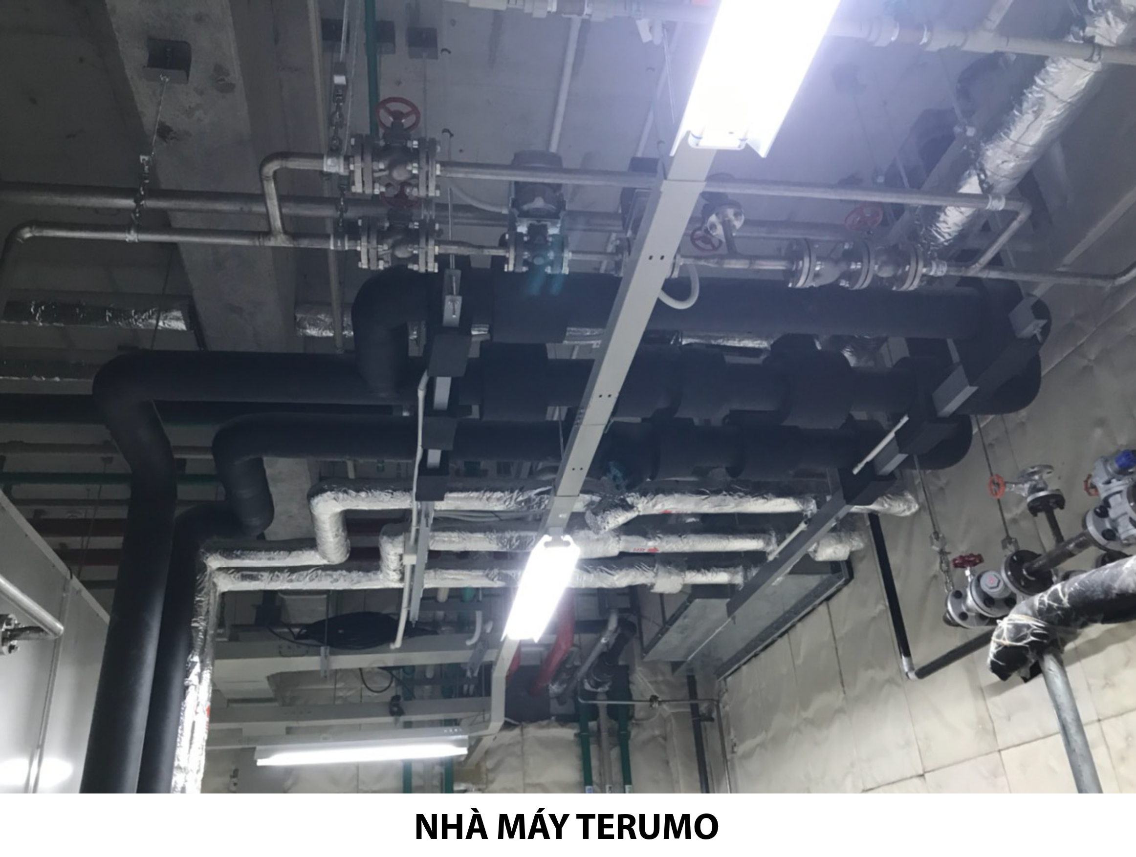 Nhà máy Terumo